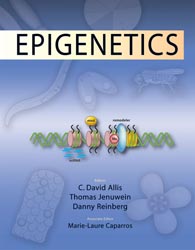 Epigenetics