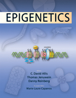 Epigenetics